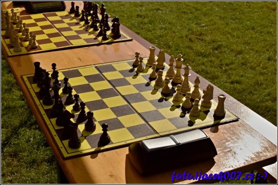 Nedaleko festivalu se pořádal turnaj v šachách pro děti s rodiči o hodnotné ceny.  